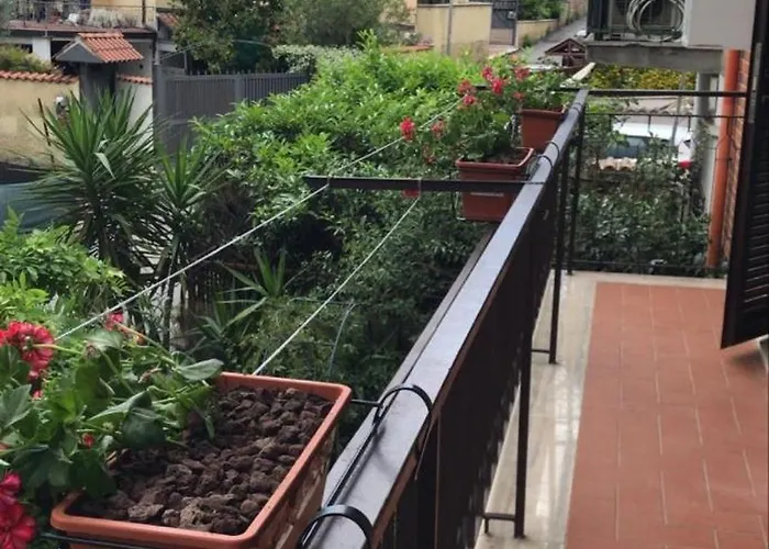 Apartament M In